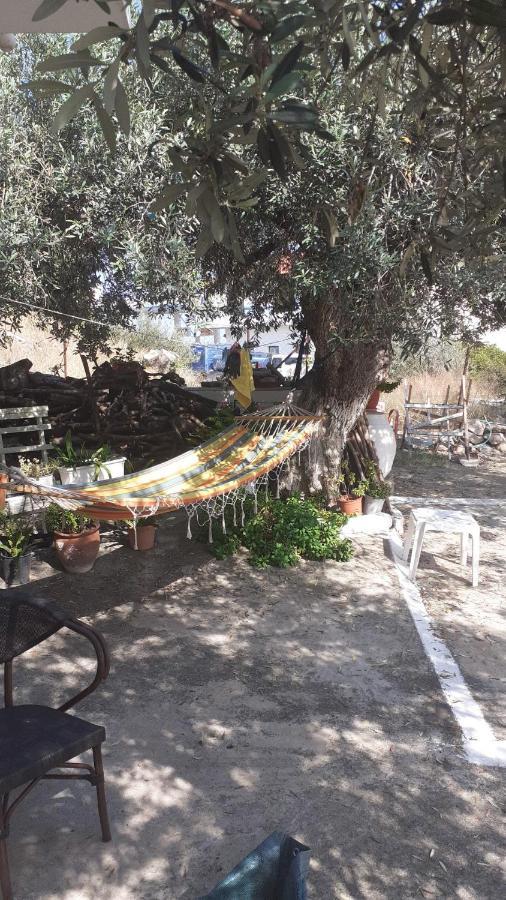 הוילה Poros Town Olive Trees מראה חיצוני תמונה